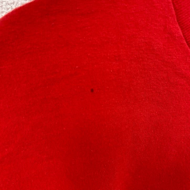 Hanes　ヘインズ　半袖プリントTシャツ　シングルステッチ　ヴィンテージ　赤　レッド　XLサイズ　古着