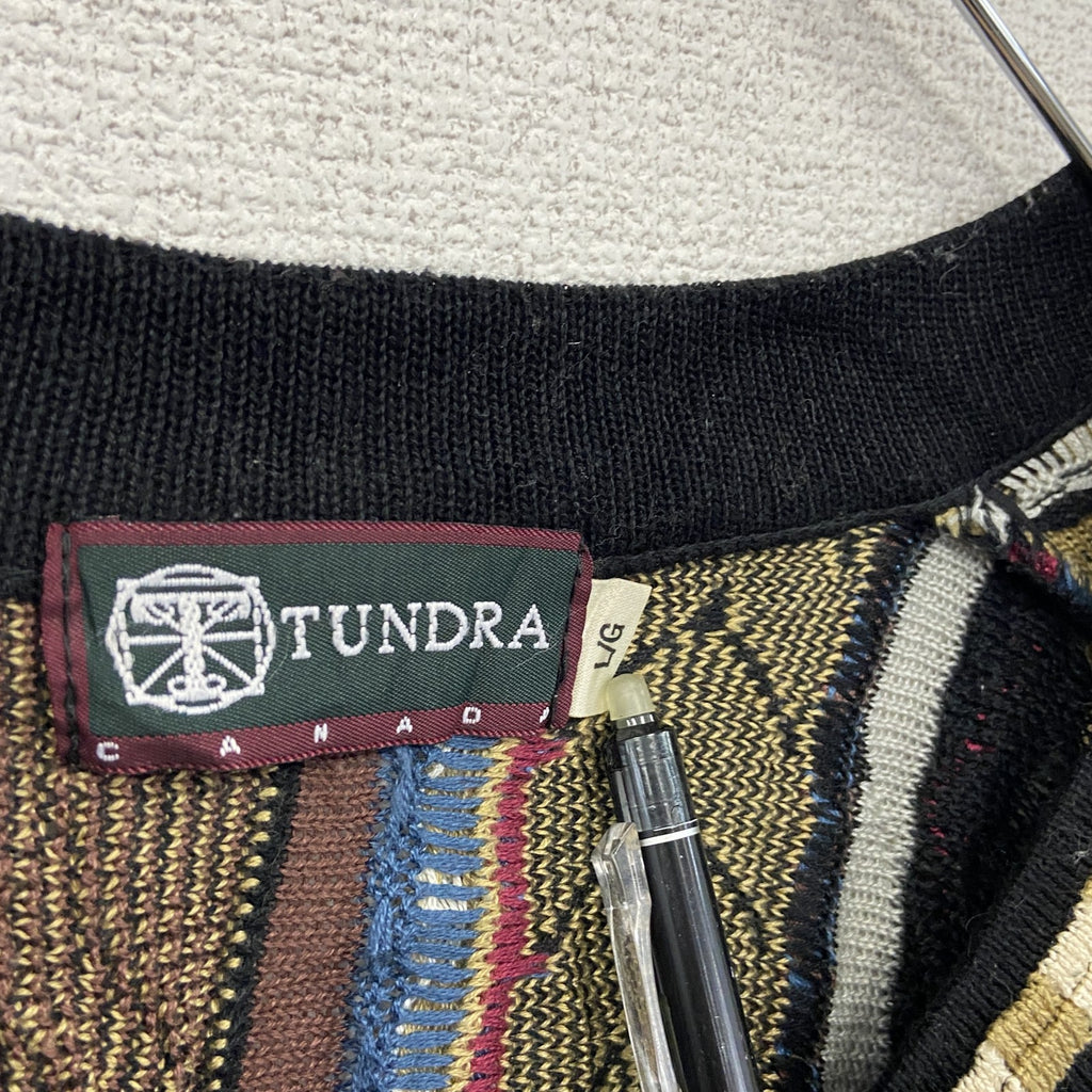 ～00s　TUNDRA　COOGI風コットンニットセーター　3Dニット　ヴィンテージ　Vネック　総柄　マルチカラー　Lサイズ　古着