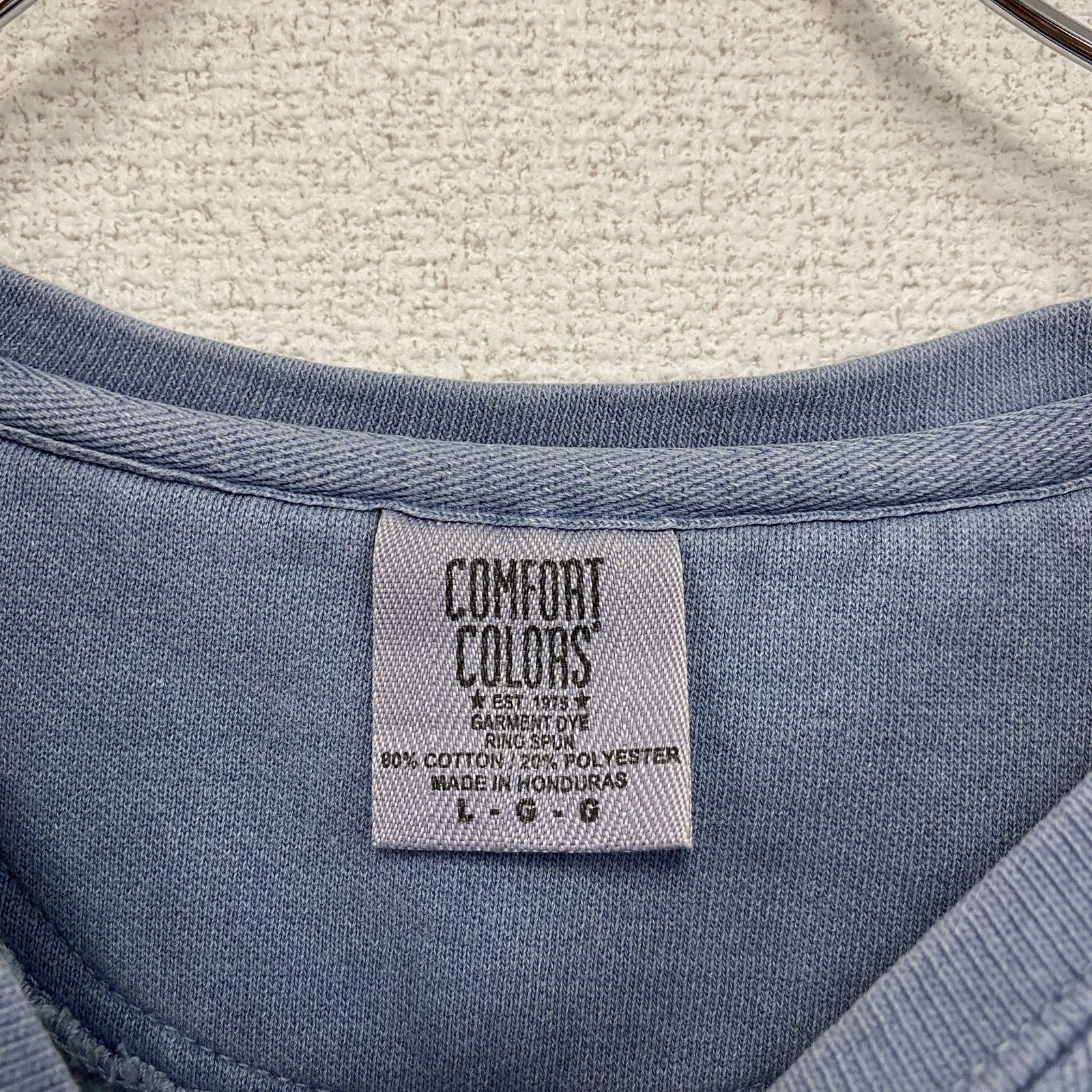 COMFORT COLORS　スウェット/トレーナー フェード　両面プリント　PIZZA　ビックデザイン　青　ブルー　Lサイズ　古着