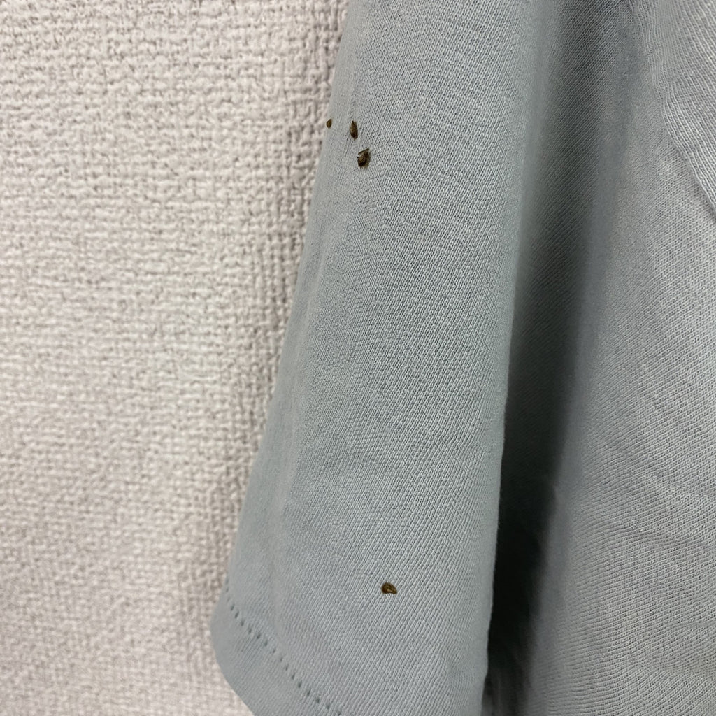 GHESAPEAKE BAY　チェサピークベイ　半袖プリントTシャツ　シングルステッチ　ヴィンテージ　灰色　グレー　XLサイズ カットソー メンズ コットン 古着