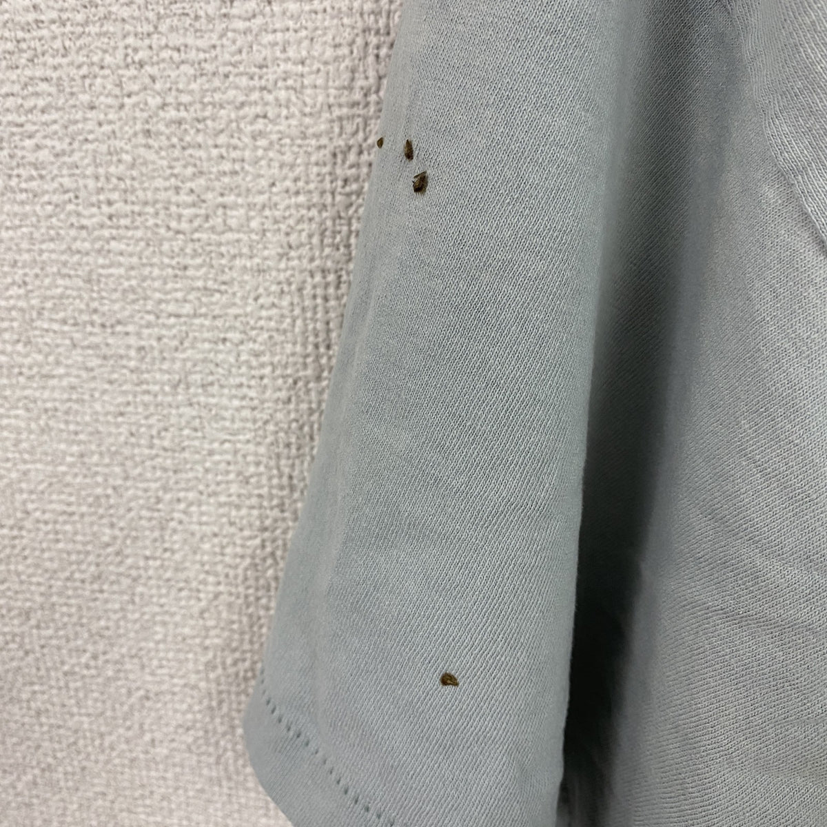 GHESAPEAKE BAY　チェサピークベイ　半袖プリントTシャツ　シングルステッチ　ヴィンテージ　灰色　グレー　XLサイズ カットソー メンズ コットン 古着