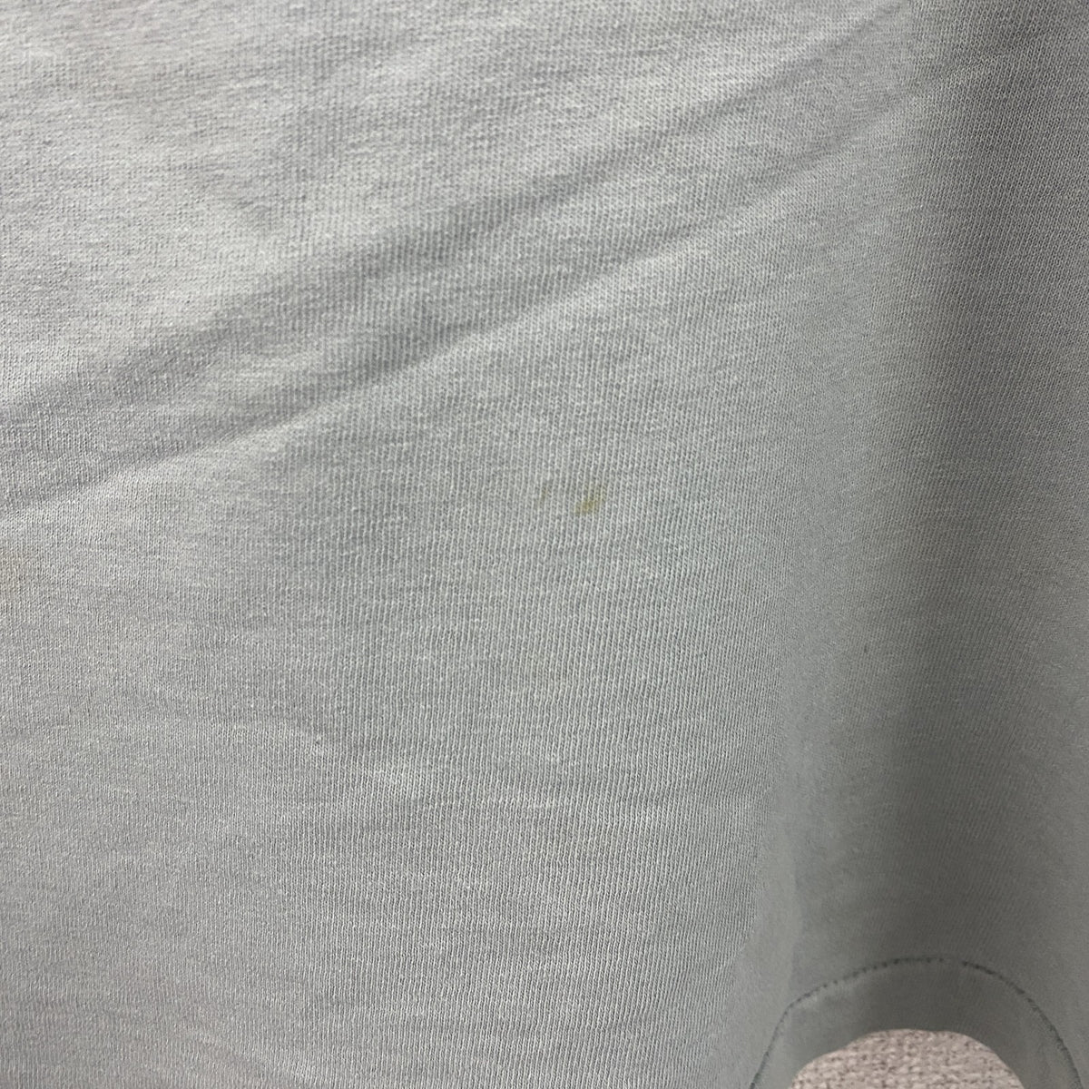 GHESAPEAKE BAY　チェサピークベイ　半袖プリントTシャツ　シングルステッチ　ヴィンテージ　灰色　グレー　XLサイズ カットソー メンズ コットン 古着