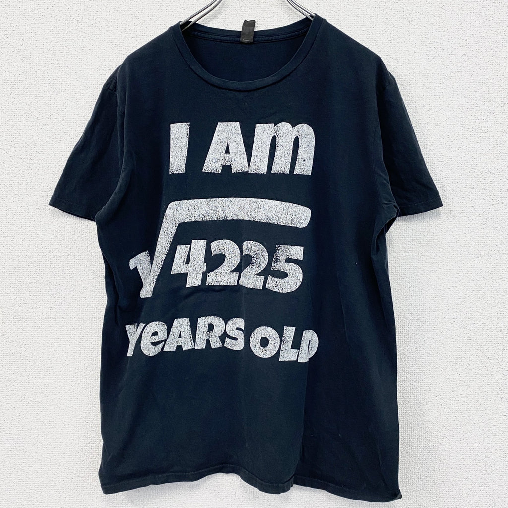 ANVIL　アンヴィル　半袖プリントTシャツ　年齢T　ルート　4連プリント　黒　ブラック　Lサイズ　古着