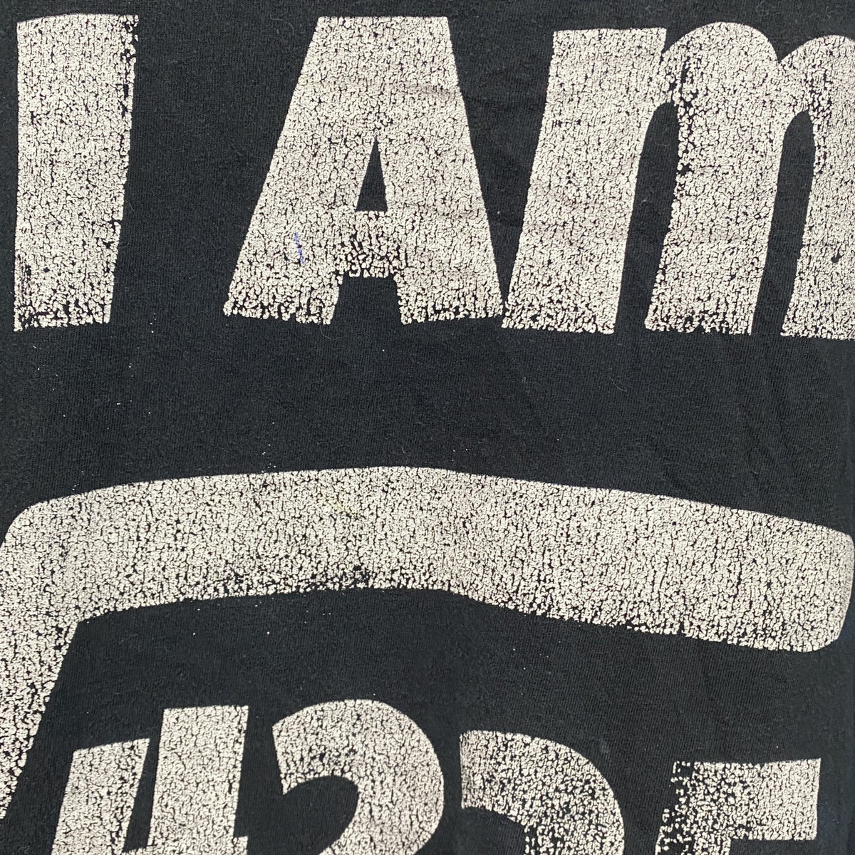 ANVIL　アンヴィル　半袖プリントTシャツ　年齢T　ルート　4連プリント　黒　ブラック　Lサイズ　古着