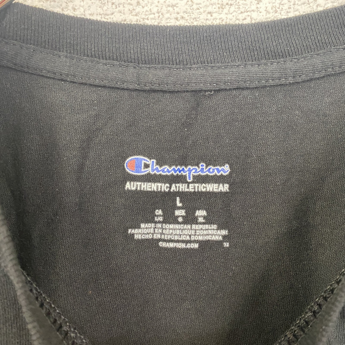 Champion　チャンピオン　半袖ワンポイントプリントTシャツ　SHSM TITANS　黒　ブラック　春夏服　Lサイズ　古着
