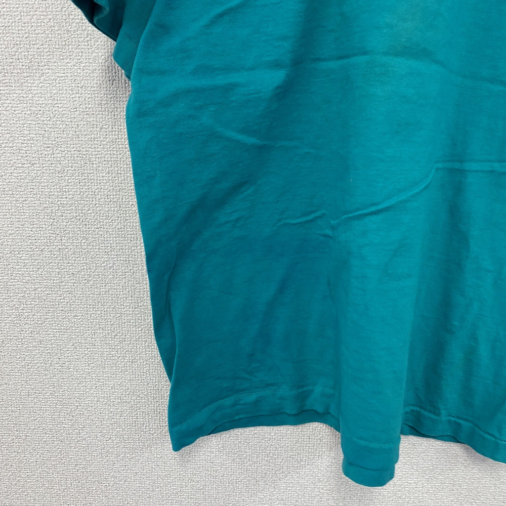 FRUIT OF THE LOOM　フルーツオブザルーム　半袖プリントTシャツ　ヴィンテージ　シングルステッチ　水色　ライトブルー　XLサイズ　古着