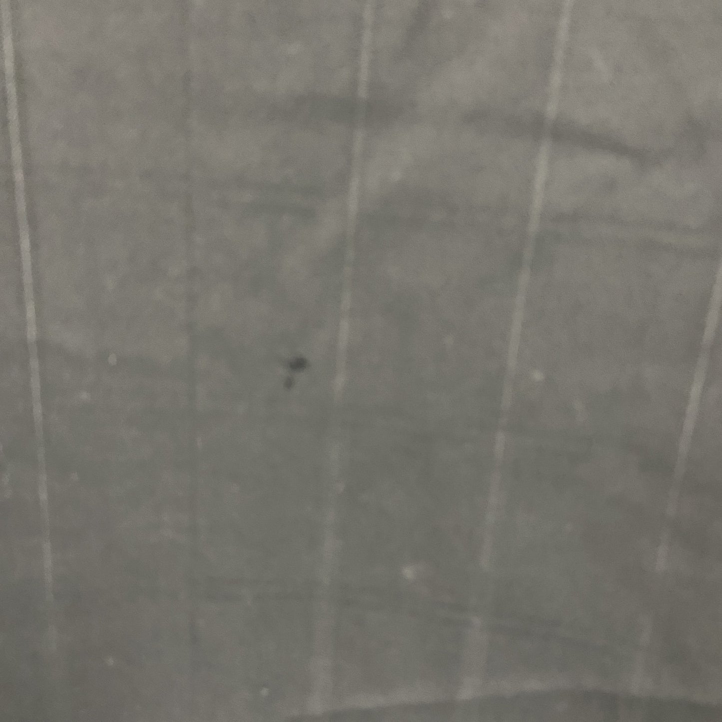 E.Z BY ZENZA　イージーバイゼニア　テーラードジャケット　タグ付き　デッドストック　黒　ブラック　50Rサイズ