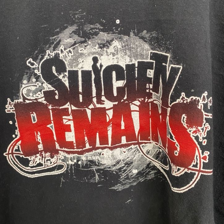 フルーツオブザルーム　半袖バンドプリントTシャツ　メタルコア　音楽　黒　ブラック　クルーネック　Lサイズ　古着