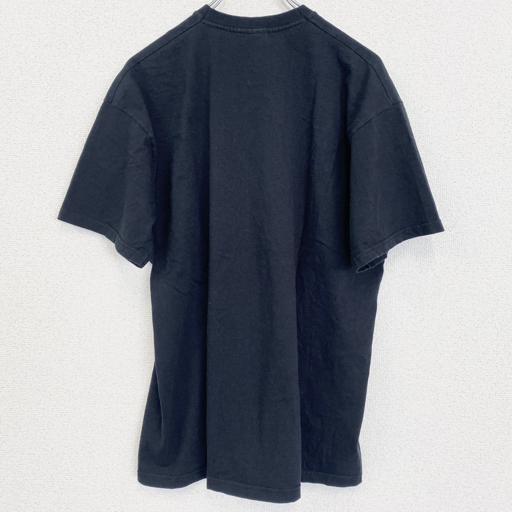 フルーツオブザルーム　半袖バンドプリントTシャツ　メタルコア　音楽　黒　ブラック　クルーネック　Lサイズ　古着