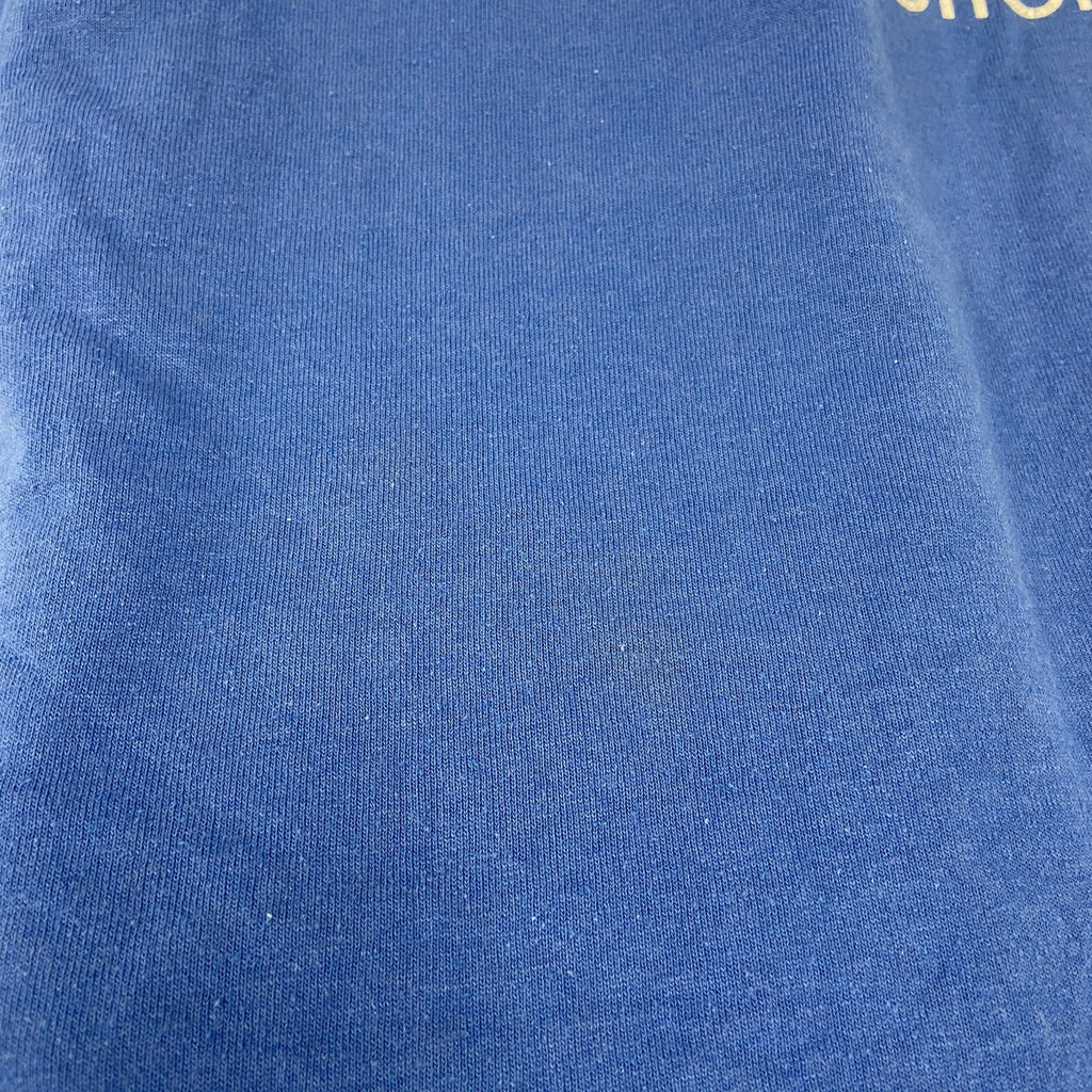 Hanes　ヘインズ　半袖プリントＴシャツ　企業　メッセージ　青　ブルー　XLサイズ　古着