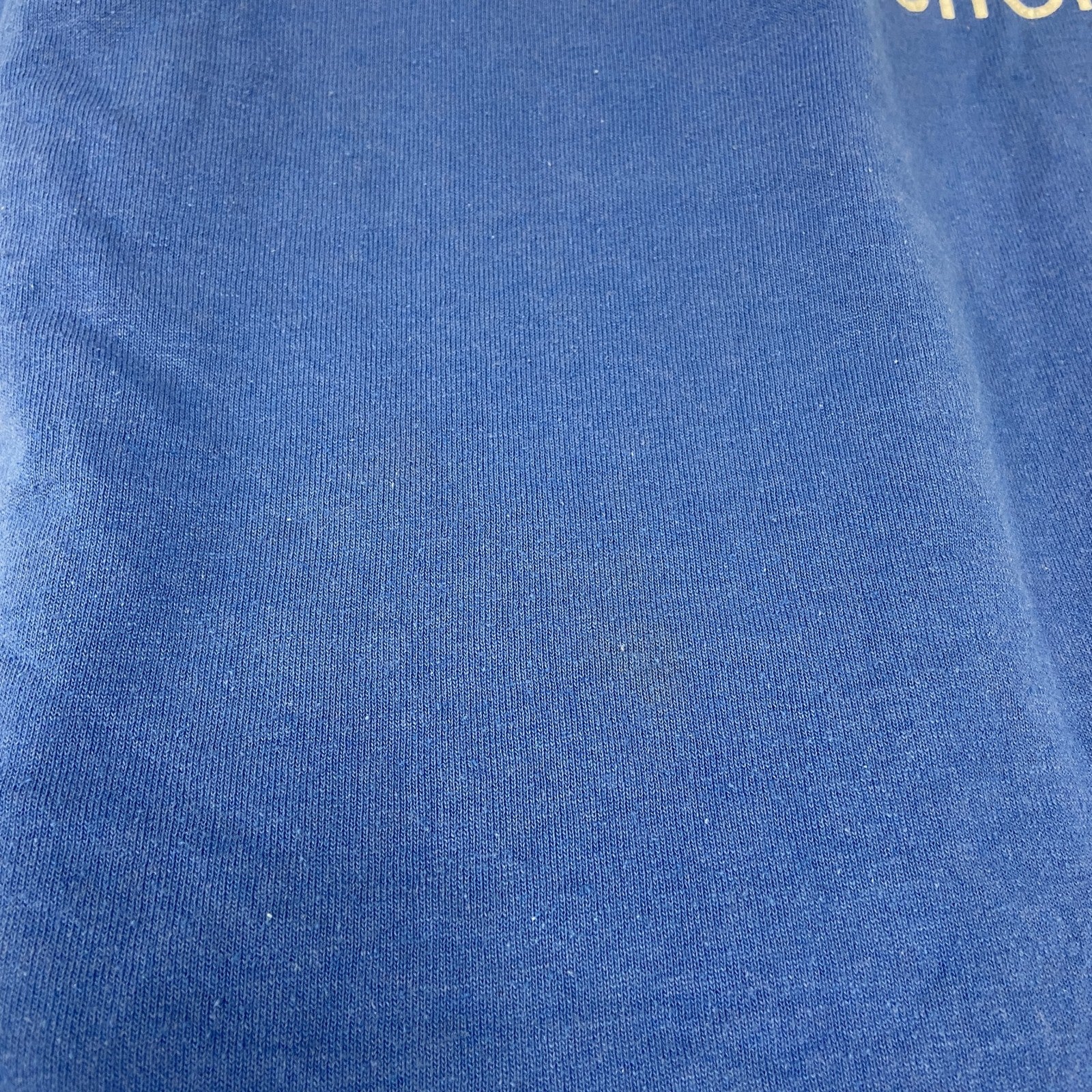 Hanes　ヘインズ　半袖プリントＴシャツ　企業　メッセージ　青　ブルー　XLサイズ　古着
