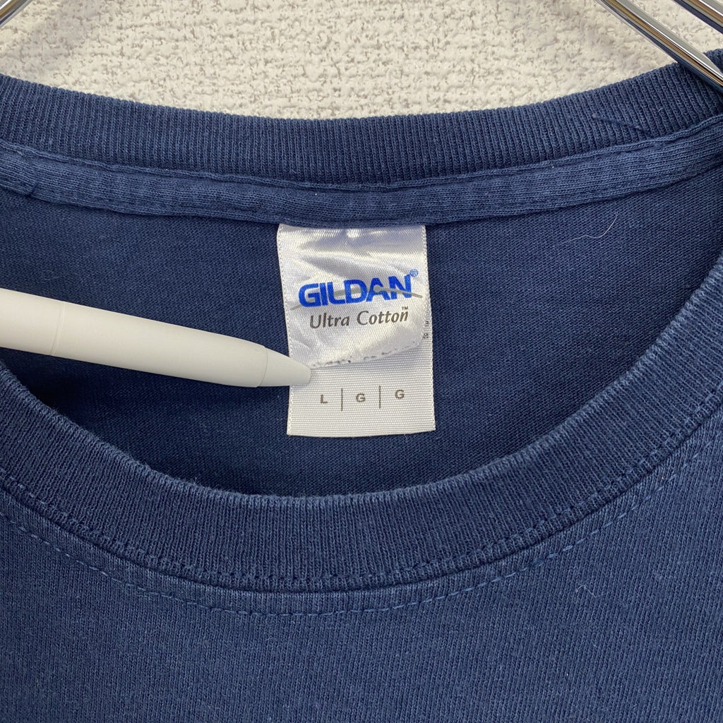 GILDAN　半袖ロゴプリントＴシャツ　英字　筆記体　アメリカ国旗　鷲　レトロデザイン　クルーネック　Lサイズ　古着