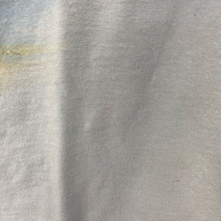 GILDAN　半袖プリントTシャツ　ケニーチェズニー　音楽　カントリー　水色　レトロデザイン　Mサイズ　古着
