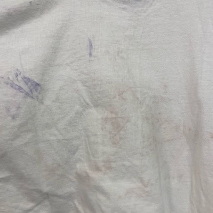 Hanes　半袖プリントTシャツ　HAWAII　レトロ　クルーネック　シングルステッチ　白　ホワイト　XLサイズ　古着