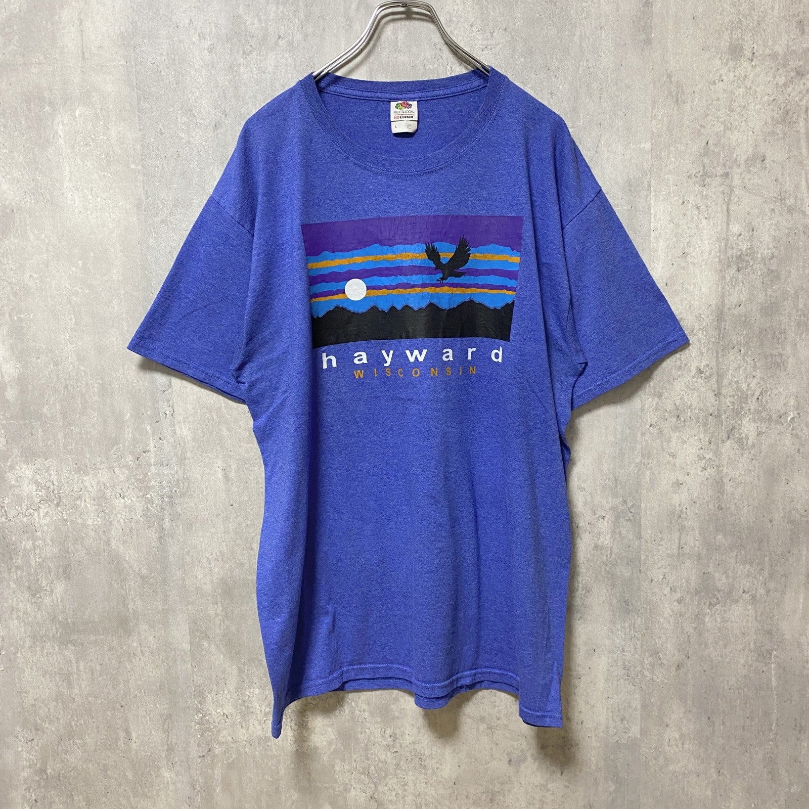 FRUIT OF THE LOOM　フルーツオブザルーム　半袖クルーネックプリントTシャツ　青　ブルー　Lサイズ　古着