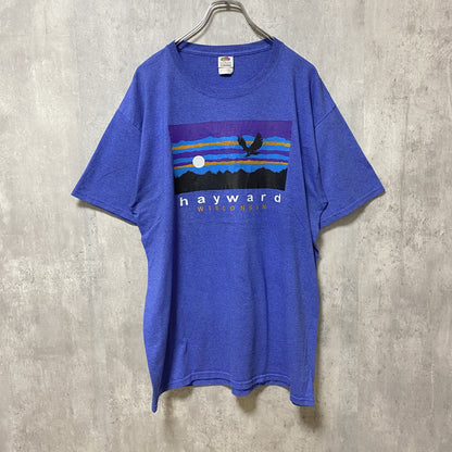 古着 used　FRUIT OF THE LOOM　フルーツオブザルーム　半袖クルーネックプリントTシャツ　青　ブルー　Lサイズ