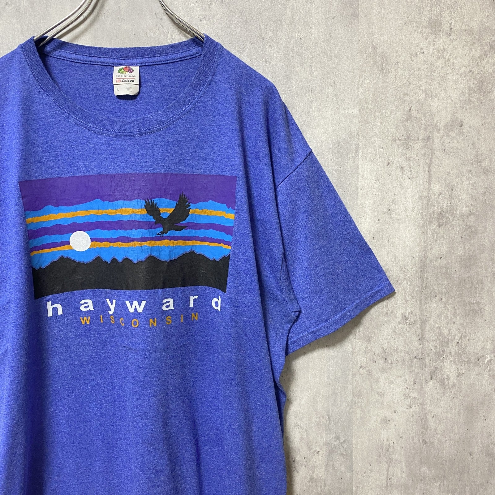 FRUIT OF THE LOOM　フルーツオブザルーム　半袖クルーネックプリントTシャツ　青　ブルー　Lサイズ　古着
