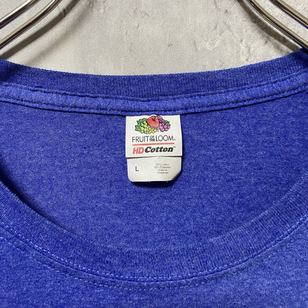 FRUIT OF THE LOOM　フルーツオブザルーム　半袖クルーネックプリントTシャツ　青　ブルー　Lサイズ　古着