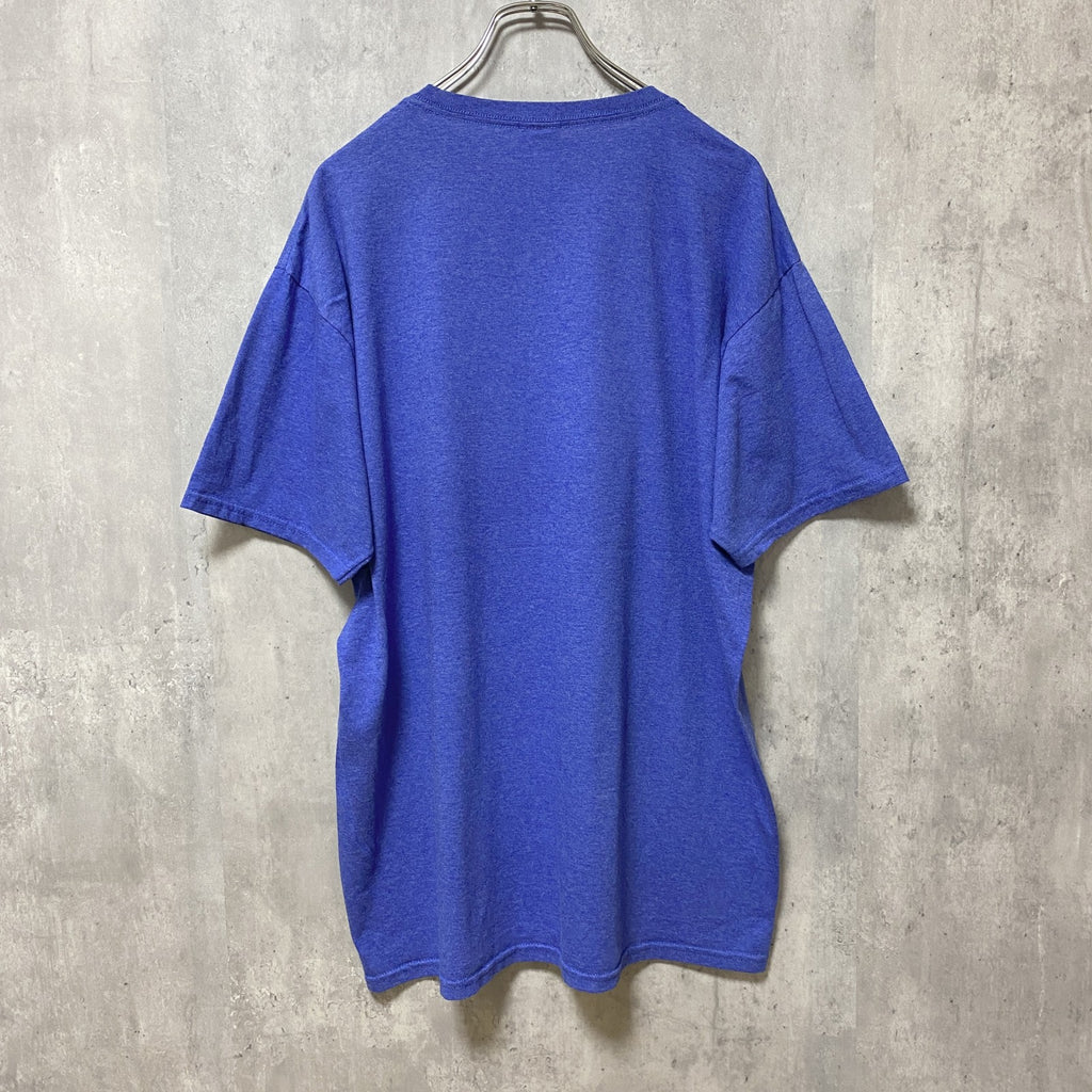 FRUIT OF THE LOOM　フルーツオブザルーム　半袖クルーネックプリントTシャツ　青　ブルー　Lサイズ　古着