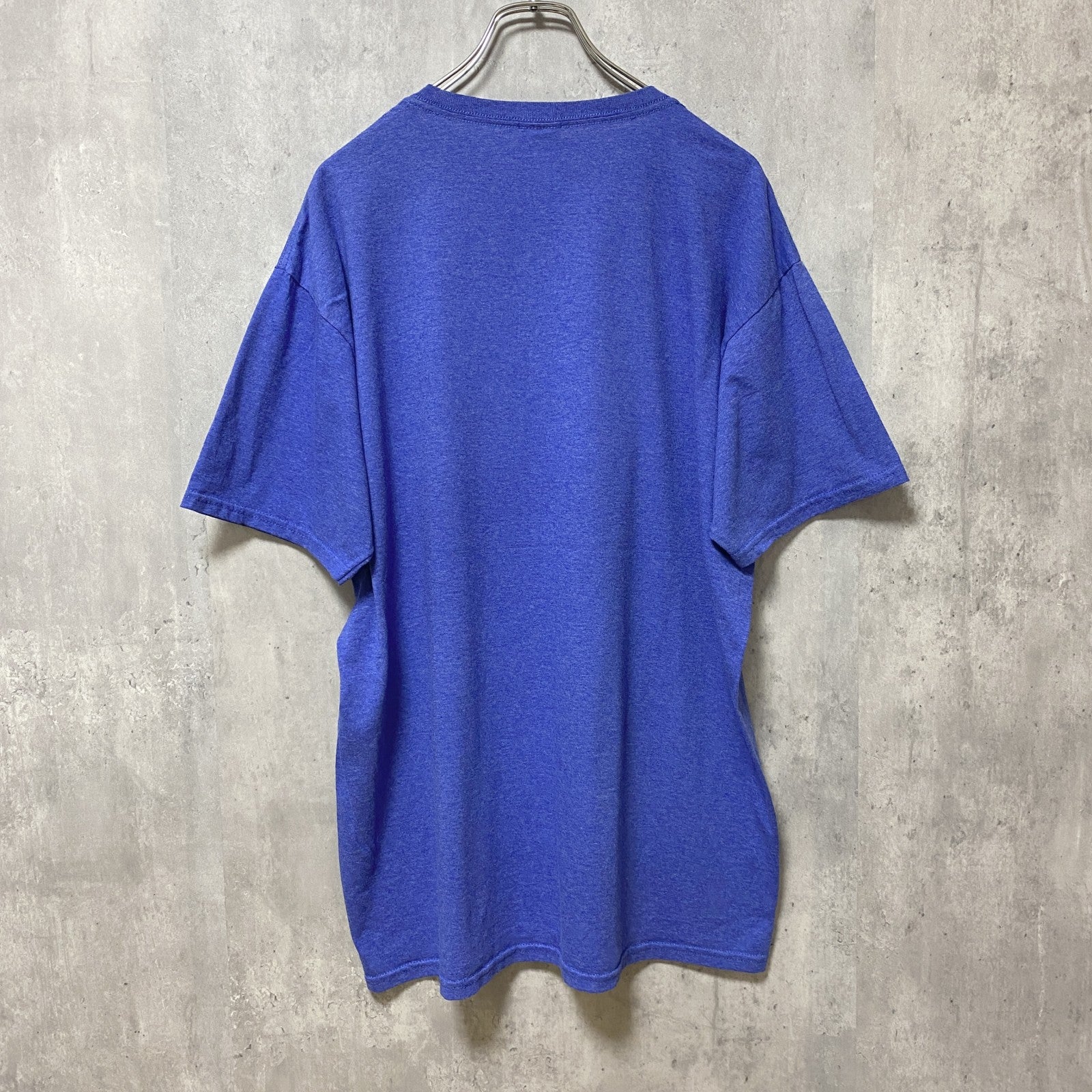 FRUIT OF THE LOOM　フルーツオブザルーム　半袖クルーネックプリントTシャツ　青　ブルー　Lサイズ　古着