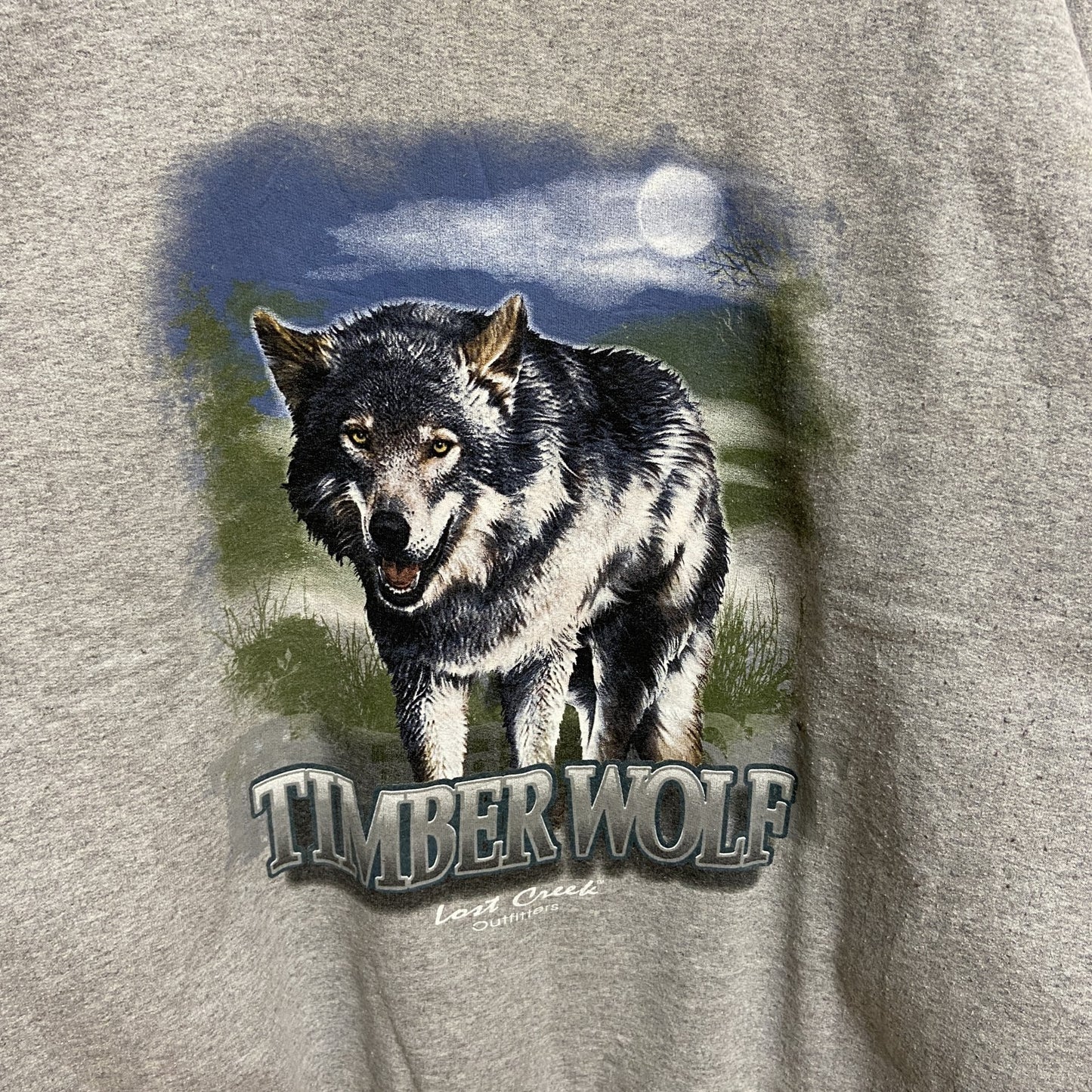 古着 used　GILDAN　ギルダン　長袖アニマル柄プリントスウェット　トレーナー　狼　WOLF　グレー　秋冬服　Lサイズ