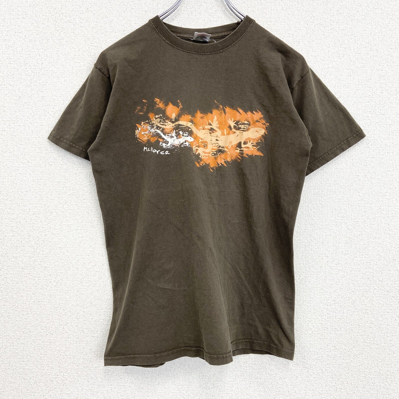 FRUIT OF THE LOOM　半袖プリントTシャツ　爬虫類　レトロ　クルーネック　ブラウン　Sサイズ　古着