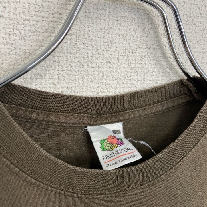 FRUIT OF THE LOOM　半袖プリントTシャツ　爬虫類　レトロ　クルーネック　ブラウン　Sサイズ　古着