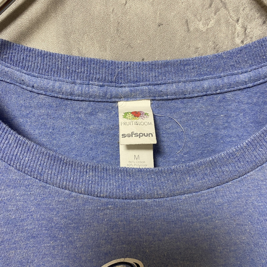 FRUIT OF THE LOOM　フルーツオブザルーム　半袖クルーネックプリントTシャツ　ブルー　青　Mサイズ　古着