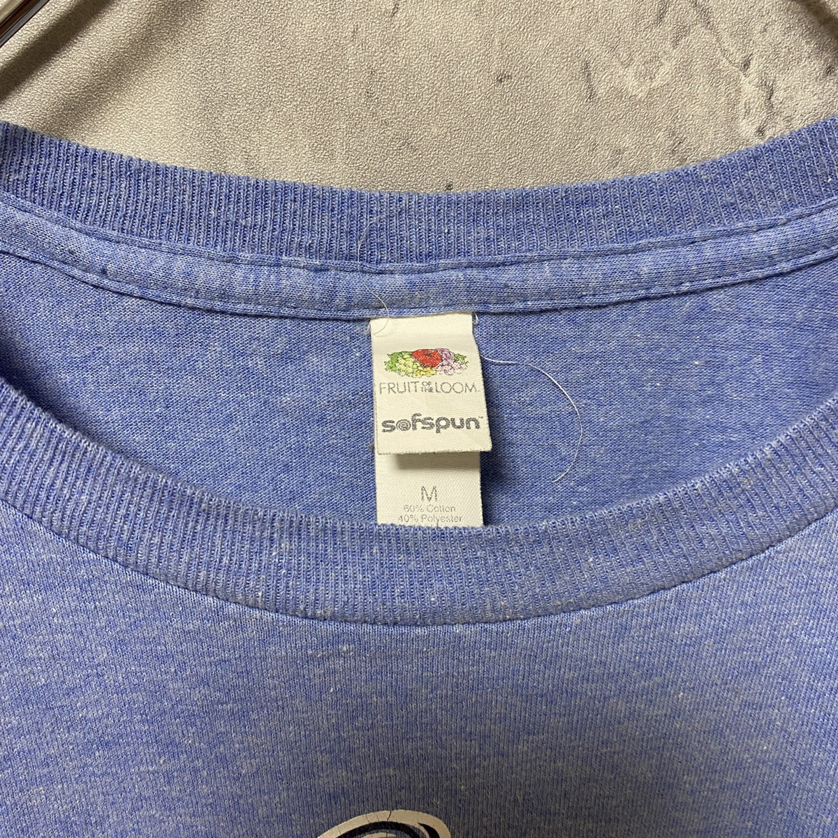 FRUIT OF THE LOOM　フルーツオブザルーム　半袖クルーネックプリントTシャツ　ブルー　青　Mサイズ　古着