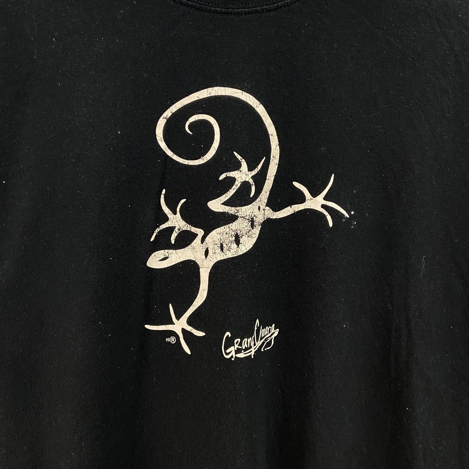 TEES FACTORY　半袖プリントTシャツ　トカゲ　カジュアルデザイン　黒　ブラック　クルーネック　Lサイズ　古着
