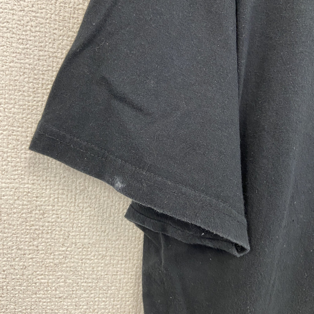 TEES FACTORY　半袖プリントTシャツ　トカゲ　カジュアルデザイン　黒　ブラック　クルーネック　Lサイズ　古着