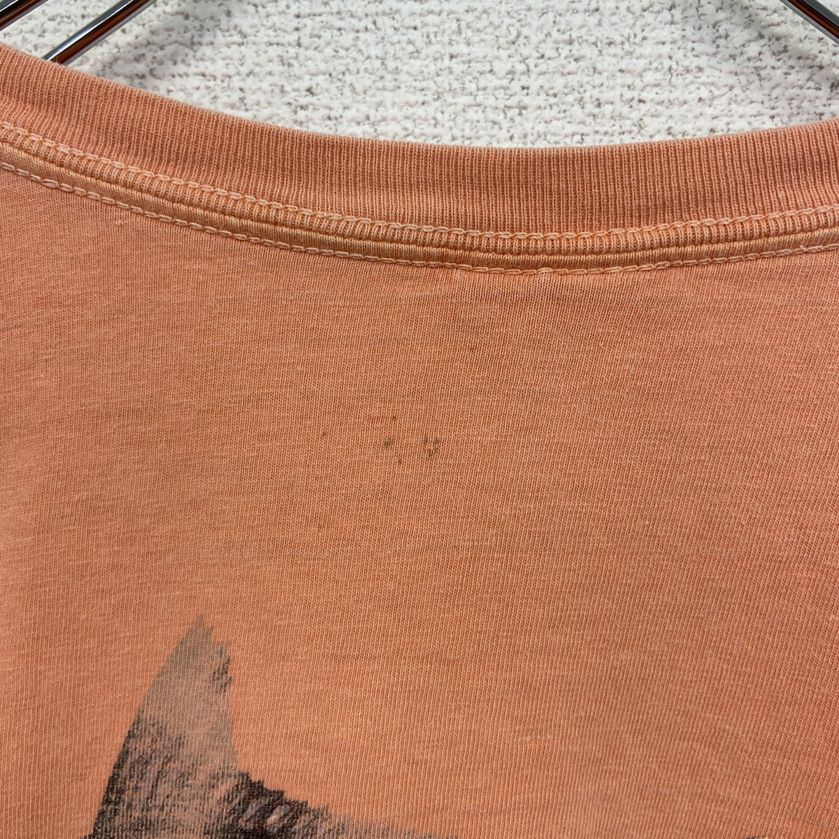 COMFORT COLORS　半袖プリントTシャツ　魚　カジュアルデザイン　レトロ　オレンジ　クルーネック　Lサイズ　古着