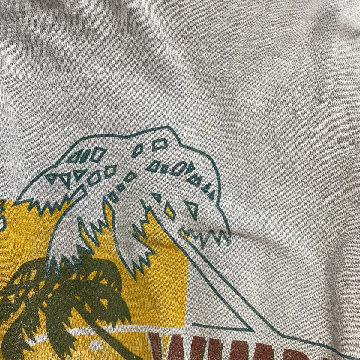 90s～　Gear For Sports　半袖プリントTシャツ　ヴィンテージ　水色　ライトブルー　Mサイズ カットソー メンズ コットン 古着