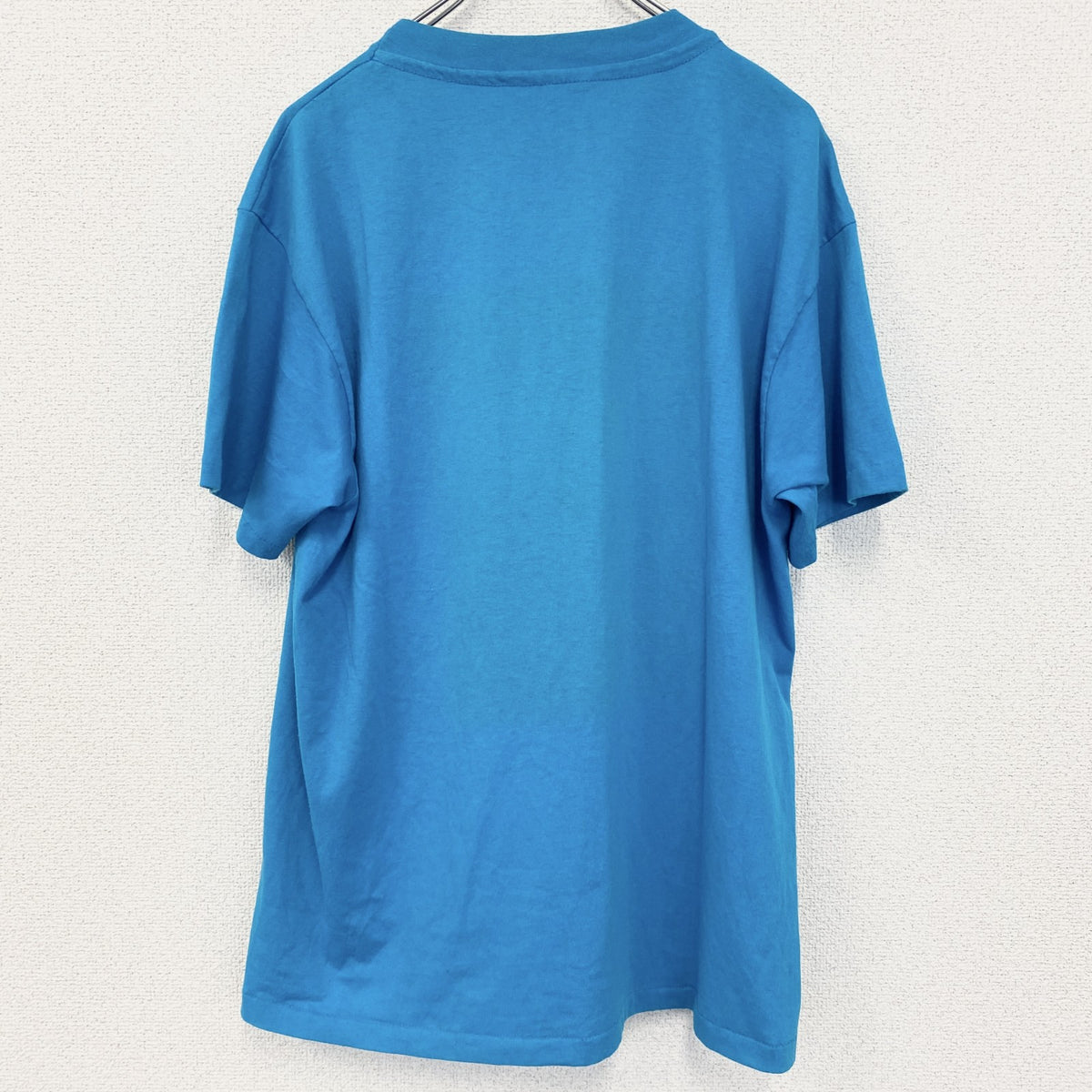 半袖プリントTシャツ　アニマル　鳥　バード　港　シングルステッチ　水色　ブルー　クルーネック　古着