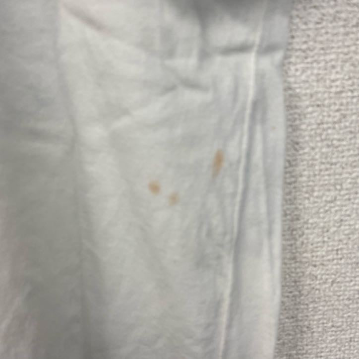 90s　半袖プリントTシャツ　シングルステッチ　ヴィンテージ　エジプト　クルーネック　レトロ　白　ホワイト　　古着