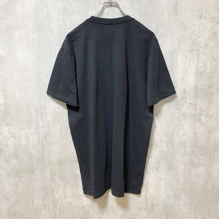 ANVIL　アンヴィル　半袖プリントTシャツ　クルーネック　馬　動物　CARLTONZERO　ブラック　Lサイズ　古着