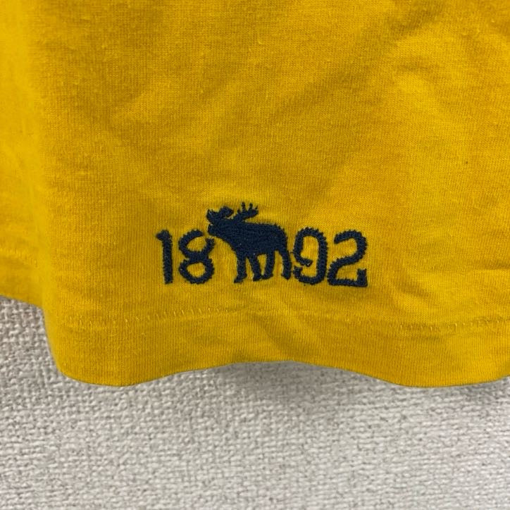 Abercrombie&Fitch　アバクロンビー&フィッッチ　半袖プリントTシャツ　シングルステッチ　黄色　イエロー　Lサイズ　古着
