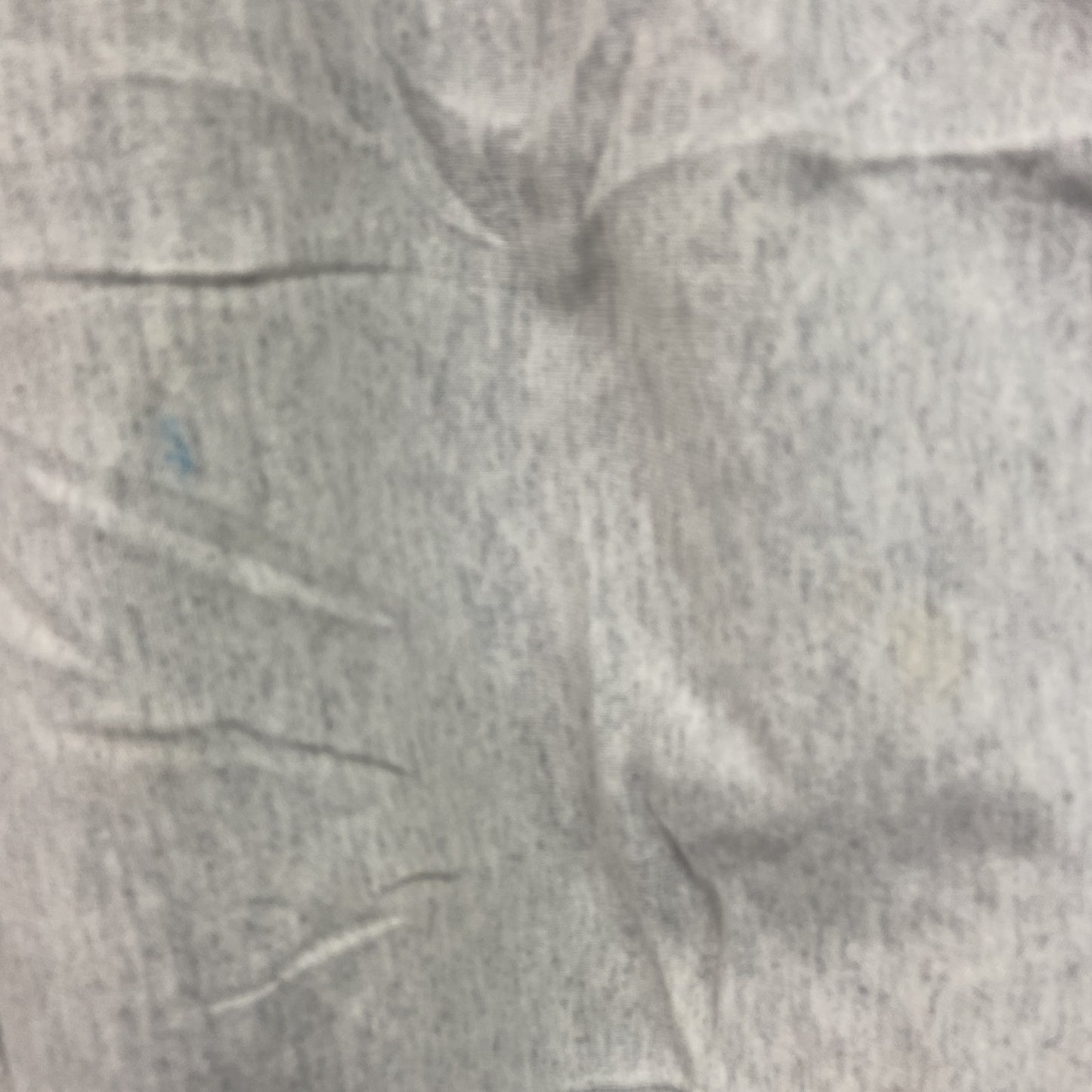 Champion　チャンピオン　リバースウィーブ　スウェット/トレーナー　灰色　グレー　Sサイズ