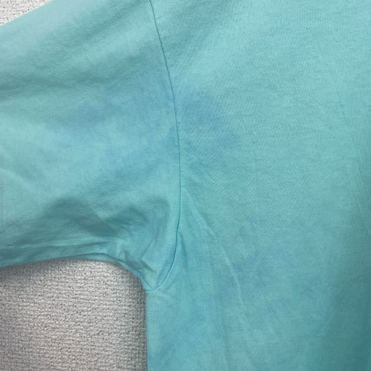 Hanes　半袖プリントTシャツ　犬　アニマル　シングルステッチ　レトロ　クルーネック　ライトブルー　XLサイズ　古着