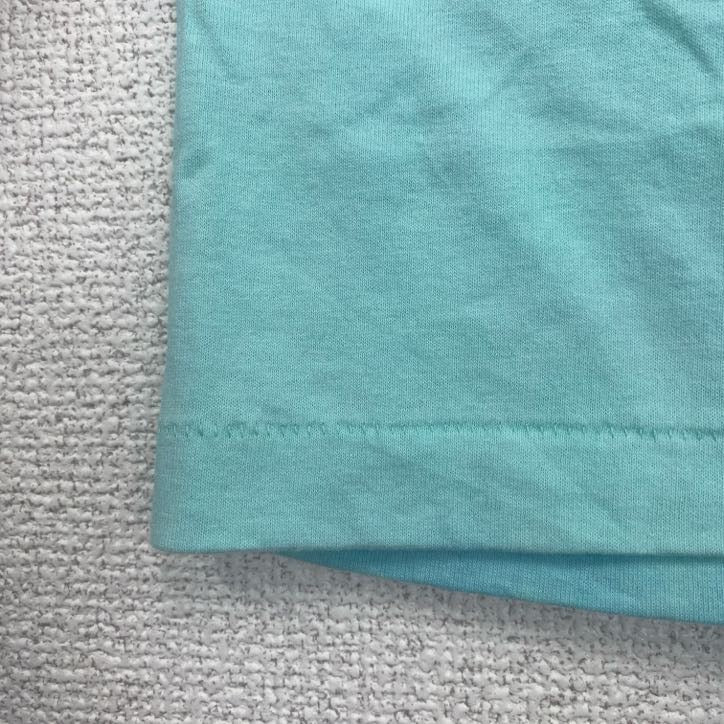 Hanes　半袖プリントTシャツ　犬　アニマル　シングルステッチ　レトロ　クルーネック　ライトブルー　XLサイズ　古着