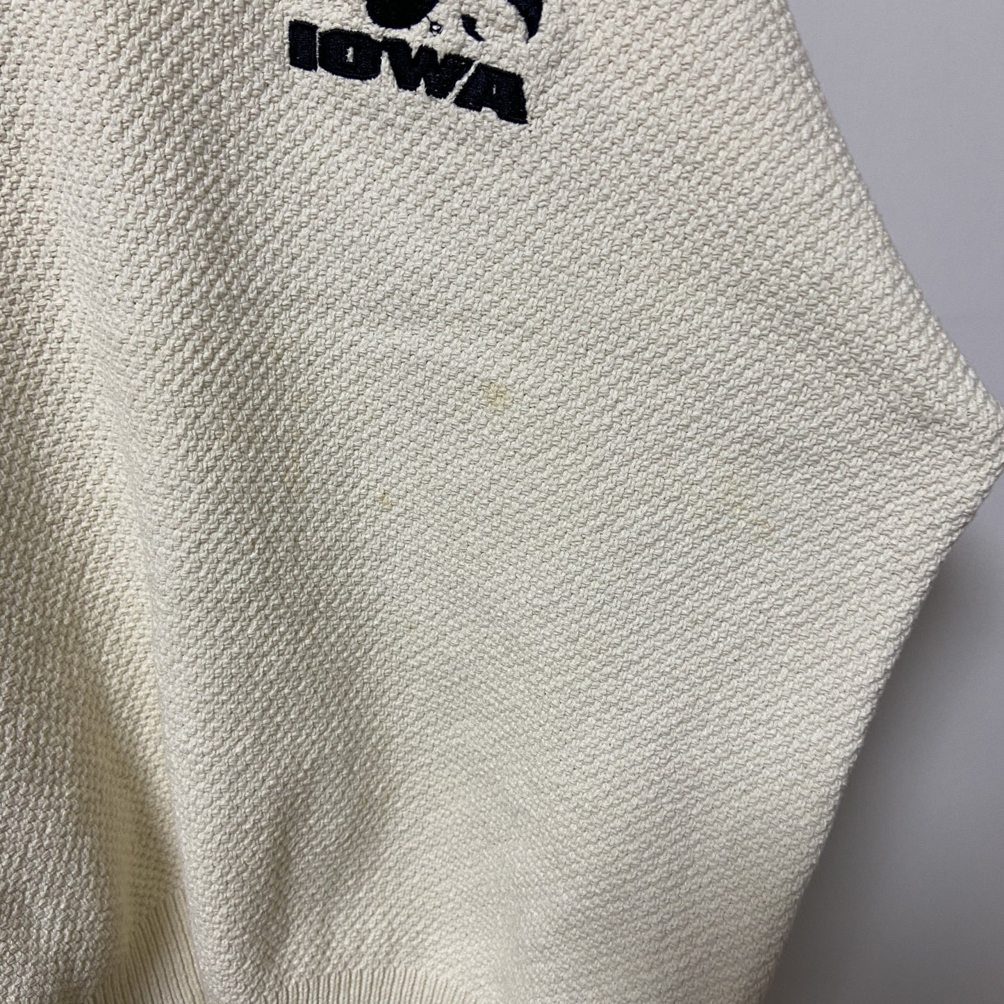 古着 used　Champion チャンピオン　長袖Vネックニット　セーター　ワンポイント刺繍　lowa　XLサイズ