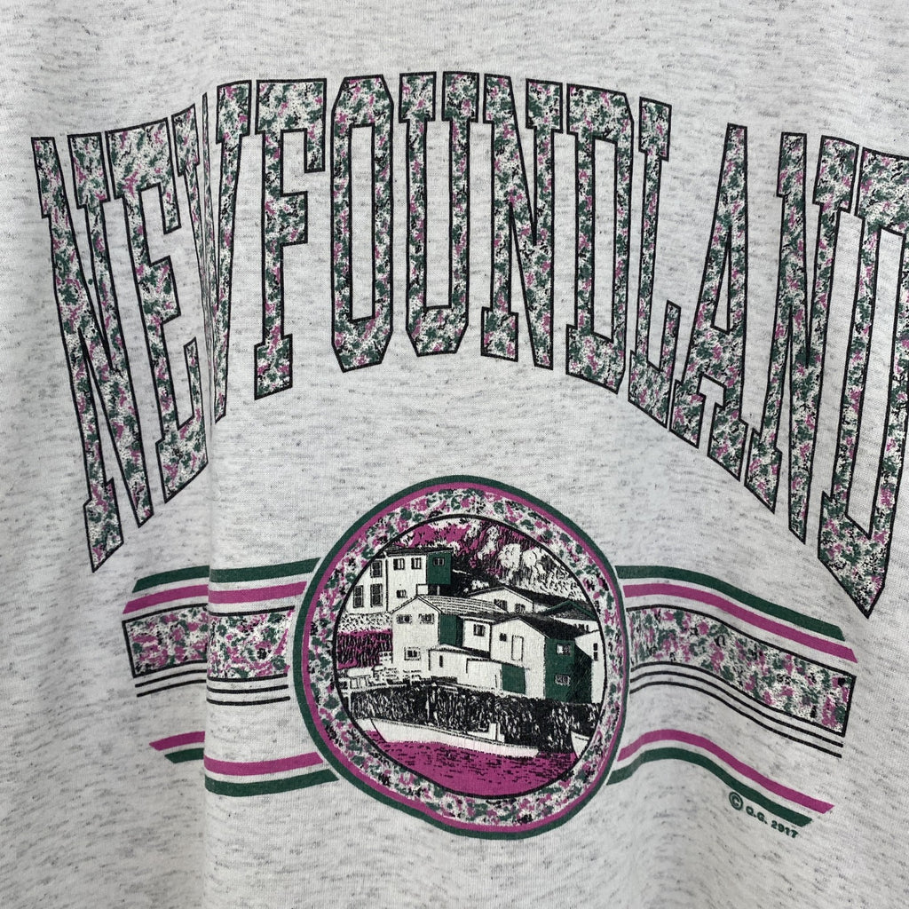 90s　ヴィンテージ　半袖プリントTシャツ　カレッジ風　　灰色　ライトグレー　ニューファンドランド　Lサイズ　古着