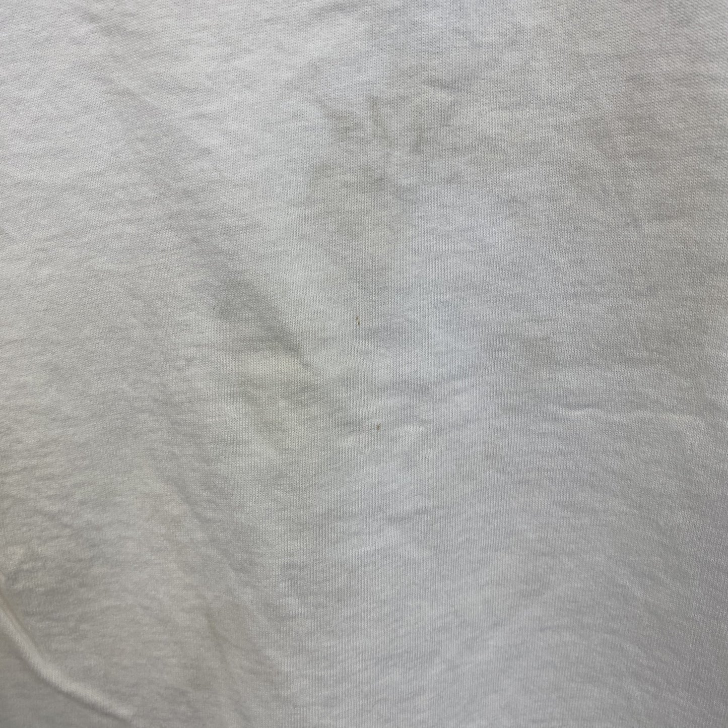 古着 used　90s　ヴィンテージ　半袖プリントTシャツ　地球　アース　100％コットン　白　ホワイト　XLサイズ