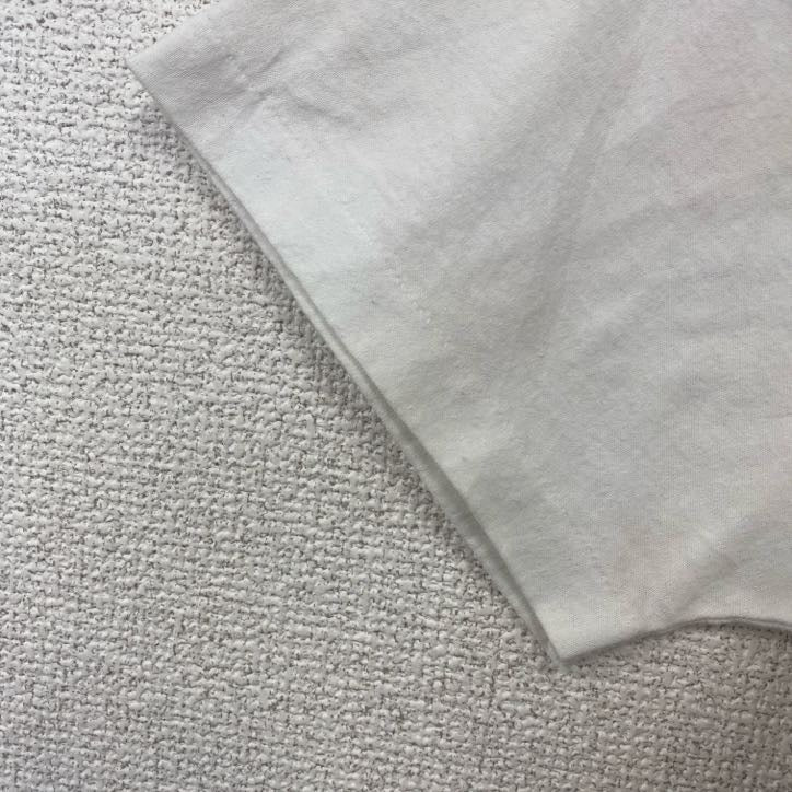 ヘインズ　半袖プリントTシャツ　USA製　コヨーテ　サボテン　クルーネック　レトロデザイン　Lサイズ　古着