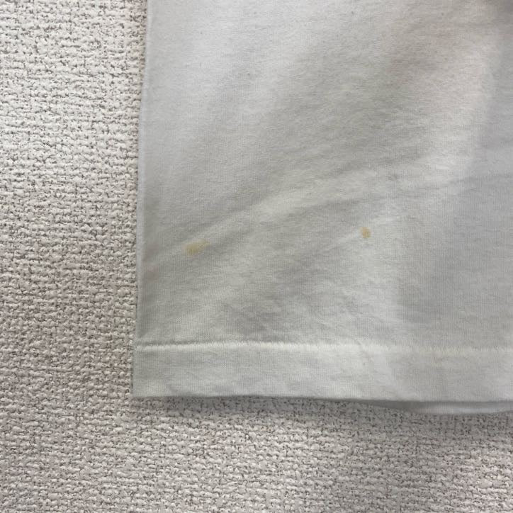 ヘインズ　半袖プリントTシャツ　USA製　コヨーテ　サボテン　クルーネック　レトロデザイン　Lサイズ　古着