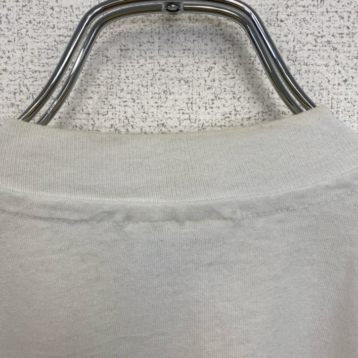 ヘインズ　半袖プリントTシャツ　USA製　コヨーテ　サボテン　クルーネック　レトロデザイン　Lサイズ　古着