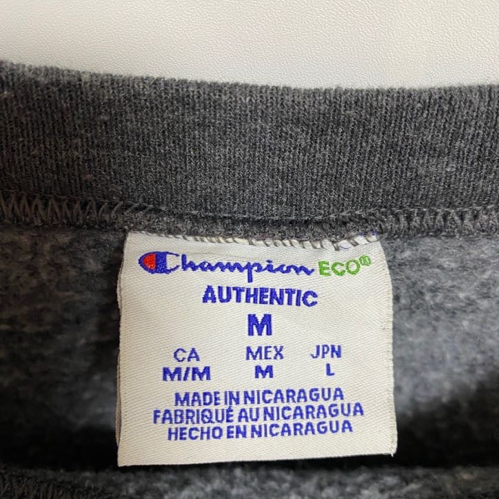 古着 used　Champion チャンピオン　カレッジ　長袖プリントスウェット　トレーナー　クルーネック　秋冬服　Lサイズ