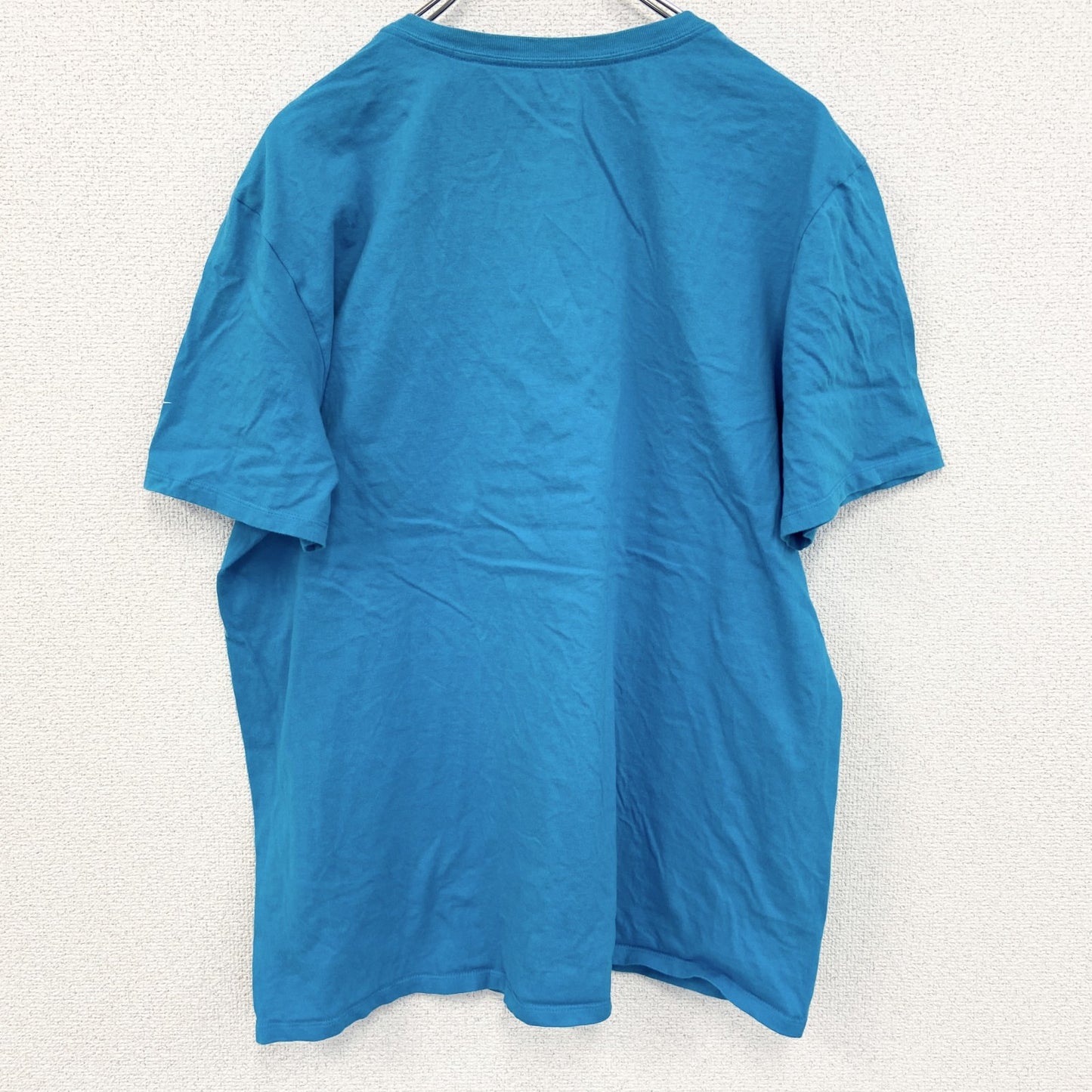 古着 used　NIKE　ナイキ　半袖プリントTシャツ　水色　ライトブルー　カロライナパンサーズ　レトロデザイン　XLサイズ