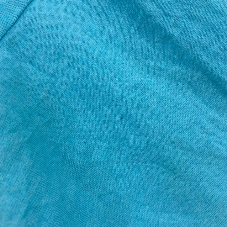 80s　FRUIT OF THE LOOM　半袖プリントTシャツ　クルーネック　水色　ライトブルー　XLサイズ　　ヴィンテージ　古着