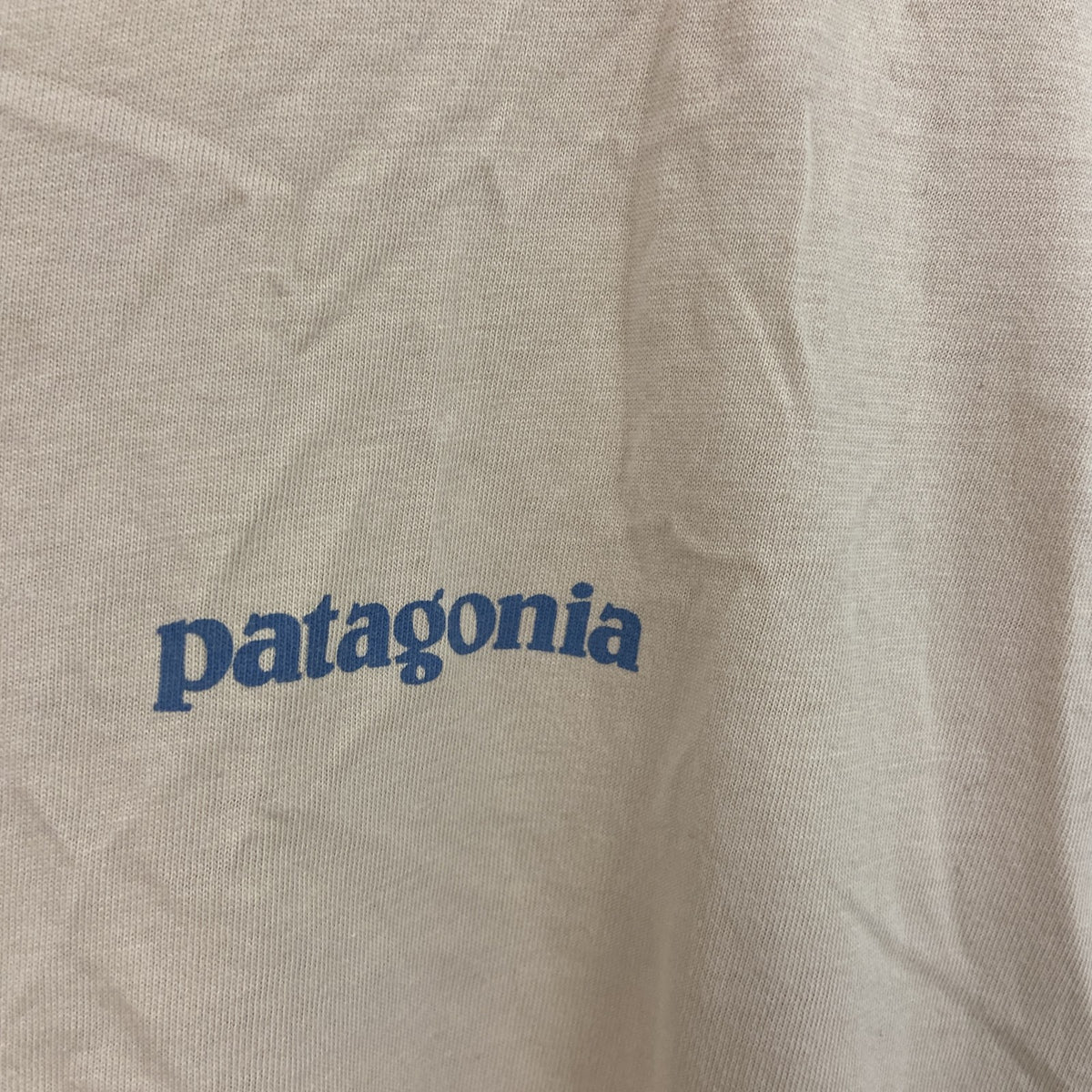Patagonia　パタゴニア　半袖Tシャツ　ベージュ　Lサイズ　古着